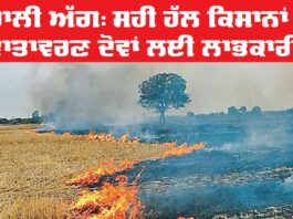 Stubble Burning