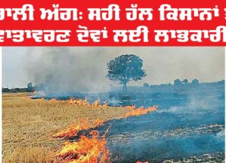 Stubble Burning