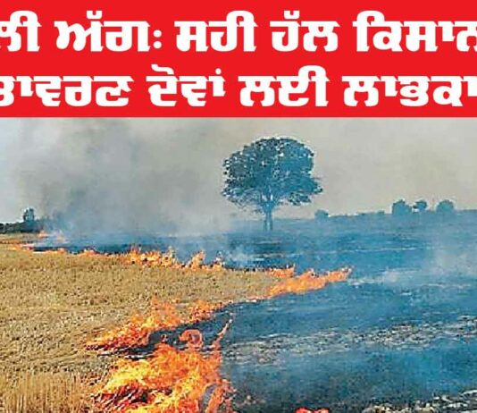 Stubble Burning
