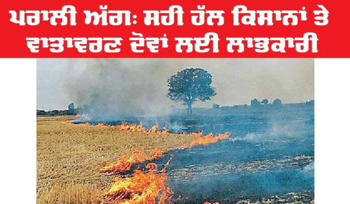 Stubble-Burning Stubble Burning
