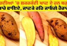 Sweet Potato Health Benefits