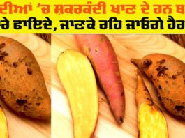 Sweet Potato Health Benefits