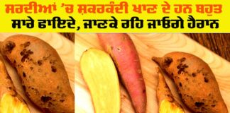 Sweet Potato Health Benefits