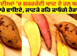 Sweet Potato Health Benefits: ਸਰਦੀਆਂ ’ਚ ਸ਼ਕਰਕੰਦੀ ਖਾਣੀ ਕਿਉਂ ਹੈ ਜ਼ਰੂਰੀ? ਜਾਣੋ ਇਸਦੇ ਸਿਹਤ ਲਾਭਾਂ ਬਾਰੇ Sweet Potato Health Benefits