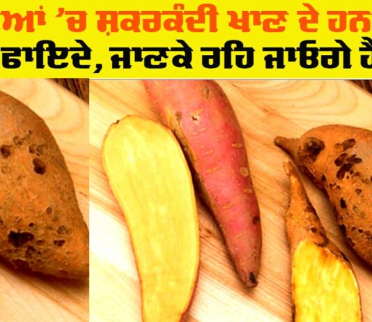 Sweet Potato Health Benefits
