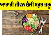 Vegetarian Lifestyle Benefits