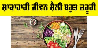 Vegetarian Lifestyle Benefits