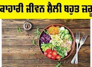 Vegetarian Lifestyle Benefits