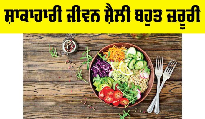 Vegetarian Lifestyle Benefits