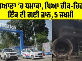 Verka Milk Plant Ludhiana