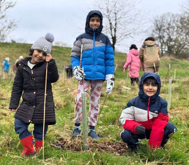 Tree Plantation England