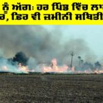 Barnala News: ਪਰਾਲੀ ਨੂੰ ਅੱਗ: ਹਰ ਪਿੰਡ ਵਿੱਚ ਲਾਏ ਦੋ-ਦੋ ਅਫ਼ਸਰ, ਫ਼ਿਰ ਵੀ ਜ਼ਮੀਨੀ ਸਥਿਤੀ ਬੇਕਾਬੂ Barnala News