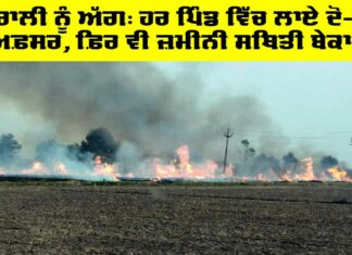 Barnala News: ਪਰਾਲੀ ਨੂੰ ਅੱਗ: ਹਰ ਪਿੰਡ ਵਿੱਚ ਲਾਏ ਦੋ-ਦੋ ਅਫ਼ਸਰ, ਫ਼ਿਰ ਵੀ ਜ਼ਮੀਨੀ ਸਥਿਤੀ ਬੇਕਾਬੂ Barnala News