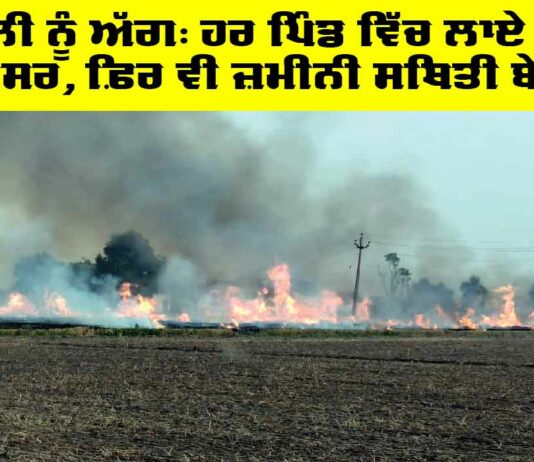 Barnala News: ਪਰਾਲੀ ਨੂੰ ਅੱਗ: ਹਰ ਪਿੰਡ ਵਿੱਚ ਲਾਏ ਦੋ-ਦੋ ਅਫ਼ਸਰ, ਫ਼ਿਰ ਵੀ ਜ਼ਮੀਨੀ ਸਥਿਤੀ ਬੇਕਾਬੂ Barnala News