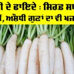 Benefits Of Radish