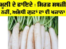 Benefits Of Radish