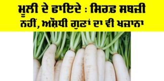Benefits Of Radish