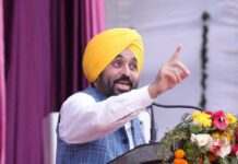 Mann Government: ਮਾਨ ਸਰਕਾਰ ਨੇ 3,000 ਬੱਸ ਰੂਟਾਂ ਨੂੰ ਮੁੜ ਕੀਤਾ ਚਾਲੂ, 10,000 ਤੋਂ ਵੱਧ ਨੌਜਵਾਨਾਂ ਨੂੰ ਮਿਲੇਗਾ ਕੰਮ Mann Government