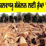 Brazil Climate Summit: ਬ੍ਰਾਜ਼ੀਲ ਜਲਵਾਯੂ ਸੰਮੇਲਨ ਲਈ ਰੁੱਖਾਂ ’ਤੇ ਕੁਹਾੜਾ Brazil Climate Summit