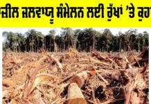 Brazil Climate Summit: ਬ੍ਰਾਜ਼ੀਲ ਜਲਵਾਯੂ ਸੰਮੇਲਨ ਲਈ ਰੁੱਖਾਂ ’ਤੇ ਕੁਹਾੜਾ Brazil Climate Summit