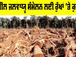 Brazil Climate Summit: ਬ੍ਰਾਜ਼ੀਲ ਜਲਵਾਯੂ ਸੰਮੇਲਨ ਲਈ ਰੁੱਖਾਂ ’ਤੇ ਕੁਹਾੜਾ Brazil Climate Summit