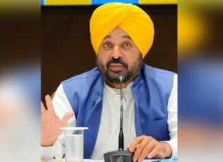 Punjab News: ਮਾਨ ਸਰਕਾਰ ਦੀ ਲੋਕ ਭਲਾਈ ਵਿੱਚ ਏਕਤਾ ਦੀ ਉਦਾਹਰਣ-ਸਤਿਕਾਰ, ਸ਼ਰਧਾ ਅਤੇ ਸੁਰੱਖਿਆ ਦਾ ਸੰਗਮ Punjab News