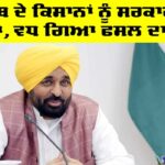 CM Punjab