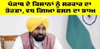 CM Punjab