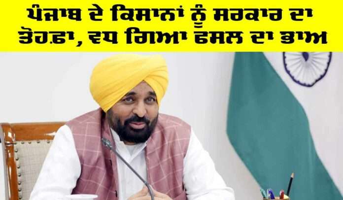 CM Punjab