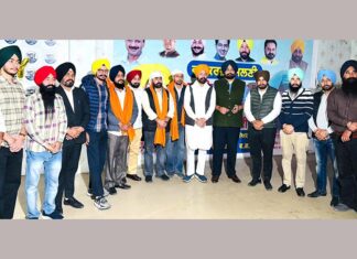 City-President-Appointment