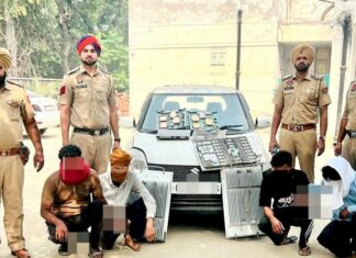 Crime News: ਮੋਬਾਈਲ ਟਾਵਰਾਂ ਤੋਂ ਸਮਾਨ ਚੋਰੀ ਕਰਨ ਵਾਲੇ ਗਿਰੋਹ ਦਾ ਪਰਦਾਫਾਸ਼ Crime-News
