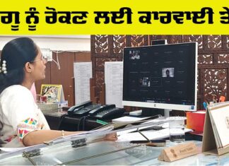 Dengue News: ਡੇਂਗੂ ਨੂੰ ਕਾਬੂ ਕਰਨ ਲਈ ਜ਼ਿਲ੍ਹਾ ਪ੍ਰਸ਼ਾਸਨ ਨੇ ਕਸੀ ਕਮਰ, ਕਾਰਵਾਈ ਕੀਤੀ ਤੇਜ਼ Dengue News