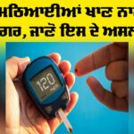 Diabetes Health Tips: ਸਿਰਫ਼ ਮਠਿਆਈਆਂ ਖਾਣ ਨਾਲ ਨਹੀਂ ਹੁੰਦੀ ਸ਼ੂਗਰ, ਜਾਣੋ ਇਸਦੇ ਅਸਲ ਕਾਰਨ Diabetes Health Tips