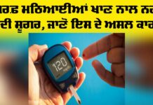 Diabetes Health Tips: ਸਿਰਫ਼ ਮਠਿਆਈਆਂ ਖਾਣ ਨਾਲ ਨਹੀਂ ਹੁੰਦੀ ਸ਼ੂਗਰ, ਜਾਣੋ ਇਸਦੇ ਅਸਲ ਕਾਰਨ Diabetes Health Tips