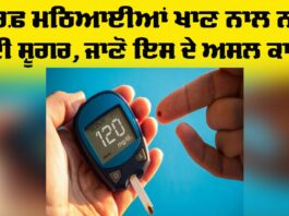 Diabetes Health Tips: ਸਿਰਫ਼ ਮਠਿਆਈਆਂ ਖਾਣ ਨਾਲ ਨਹੀਂ ਹੁੰਦੀ ਸ਼ੂਗਰ, ਜਾਣੋ ਇਸਦੇ ਅਸਲ ਕਾਰਨ Diabetes Health Tips