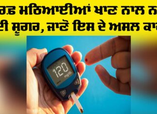 Diabetes Health Tips: ਸਿਰਫ਼ ਮਠਿਆਈਆਂ ਖਾਣ ਨਾਲ ਨਹੀਂ ਹੁੰਦੀ ਸ਼ੂਗਰ, ਜਾਣੋ ਇਸਦੇ ਅਸਲ ਕਾਰਨ Diabetes Health Tips