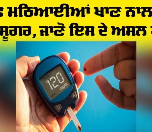 Diabetes Health Tips: ਸਿਰਫ਼ ਮਠਿਆਈਆਂ ਖਾਣ ਨਾਲ ਨਹੀਂ ਹੁੰਦੀ ਸ਼ੂਗਰ, ਜਾਣੋ ਇਸਦੇ ਅਸਲ ਕਾਰਨ Diabetes Health Tips