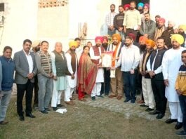 District Council Elections