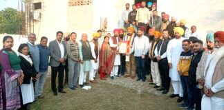 District Council Elections