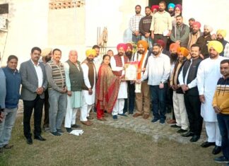 District Council Elections