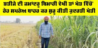 Farmer Success Story