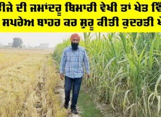 Farmer Success Story: ਭਤੀਜੇ ਦੀ ਜਮਾਂਦਰੂ ਬਿਮਾਰੀ ਵੇਖੀ ਤਾਂ ਖੇਤ ਵਿੱਚੋਂ ਰੇਹ ਸਪਰੇਅ ਬਾਹਰ ਕਰ ਸ਼ੁਰੂ ਕੀਤੀ ਕੁਦਰਤੀ ਖੇਤੀ Farmer Success Story