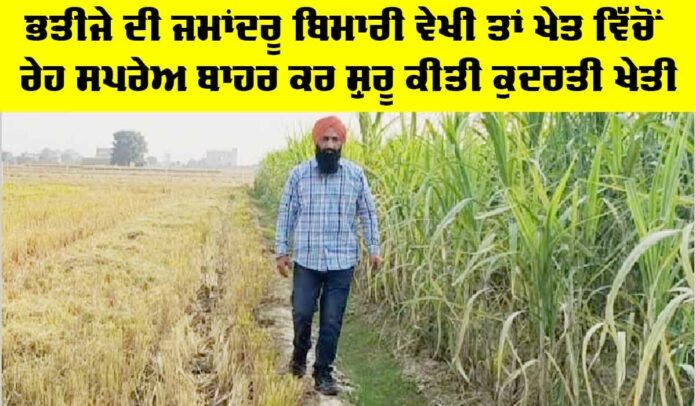 Farmer Success Story
