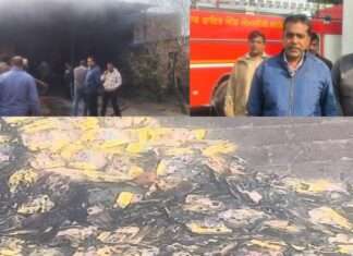 Fire Incident: ਮਾਲੇਰਕੋਟਲਾ ’ਚ ਪਟਾਖਾ ਫੈਕਟਰੀ ਨੂੰ ਲੱਗੀ ਅੱਗ, ਜਾਨੀ ਨੁਕਸਾਨ ਤੋ ਬਚਾਅ , ਪੁਲਿਸ ਜਾਂਚ ’ਚ ਜੁਟੀ Fire Incident