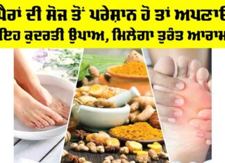 Foot Swelling: ਪੈਰਾਂ ਦੀ ਸੋਜ ਤੋਂ ਪਰੇਸ਼ਾਨ ਹੋ ਤਾਂ ਅਪਣਾਓ ਇਹ ਕੁਦਰਤੀ ਉਪਾਅ, ਮਿਲੇਗਾ ਤੁਰੰਤ ਆਰਾਮ Foot Swelling
