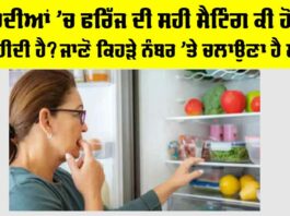 Fridge Temperature in Winter: ਸਰਦੀਆਂ ’ਚ ਫਰਿੱਜ ਦੀ ਸਹੀ ਸੈਟਿੰਗ ਕੀ ਹੋਣੀ ਚਾਹੀਦੀ ਹੈ? ਜਾਣੋ ਕਿਹੜੇ ਨੰਬਰ ’ਤੇ ਚਲਾਉਣਾ ਹੈ ਸਹੀ Fridge Temperature in Winter