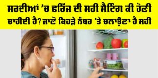 Fridge Temperature in Winter