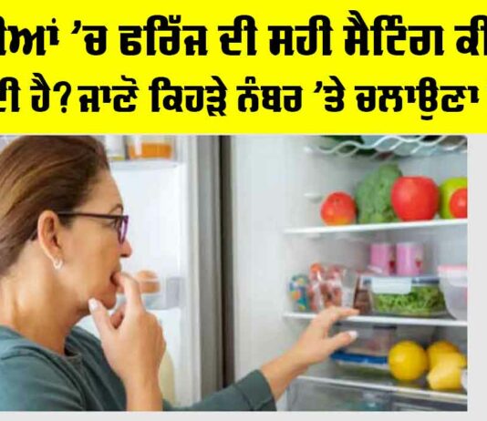 Fridge Temperature in Winter