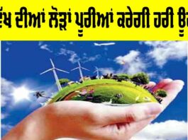 Green Energy Future: ਭਵਿੱਖ ਦੀਆਂ ਲੋੜਾਂ ਪੂਰੀਆਂ ਕਰੇਗੀ ਹਰੀ ਊਰਜਾ Green Energy Future