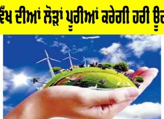 Green Energy Future: ਭਵਿੱਖ ਦੀਆਂ ਲੋੜਾਂ ਪੂਰੀਆਂ ਕਰੇਗੀ ਹਰੀ ਊਰਜਾ Green Energy Future